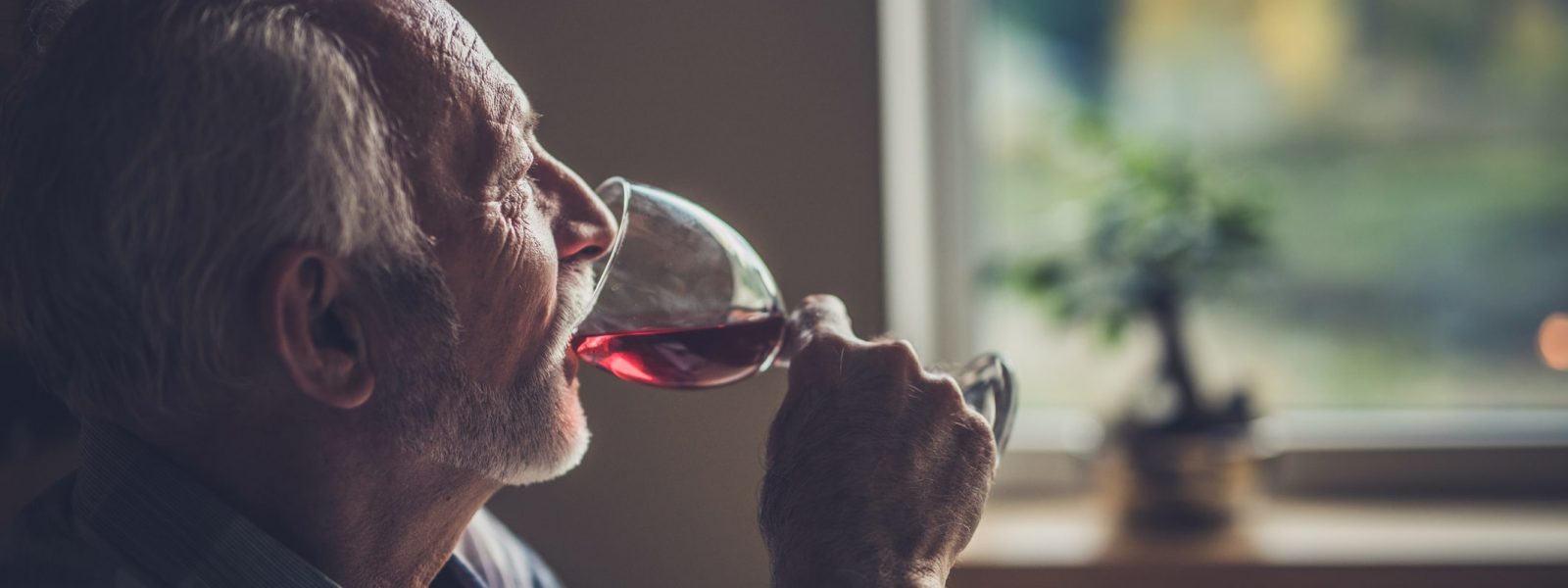 Wpływ alkoholu na organizm człowieka